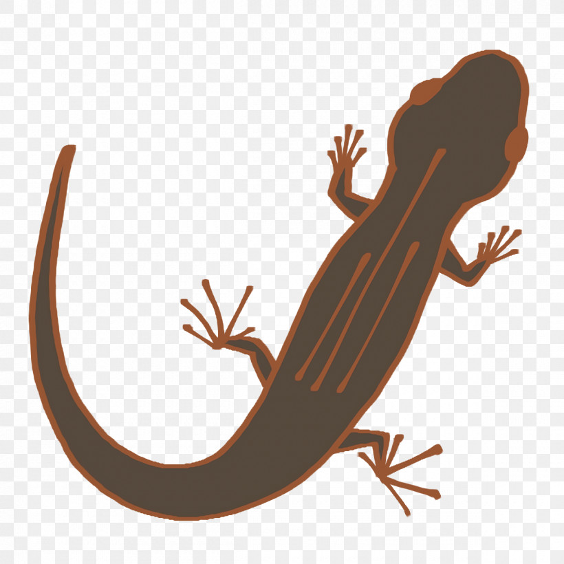 Gecko Amphibians Lizard Tail Biology, PNG, 1200x1200px, Gecko, Amphibians, Biology, Lizard, Science Download Free