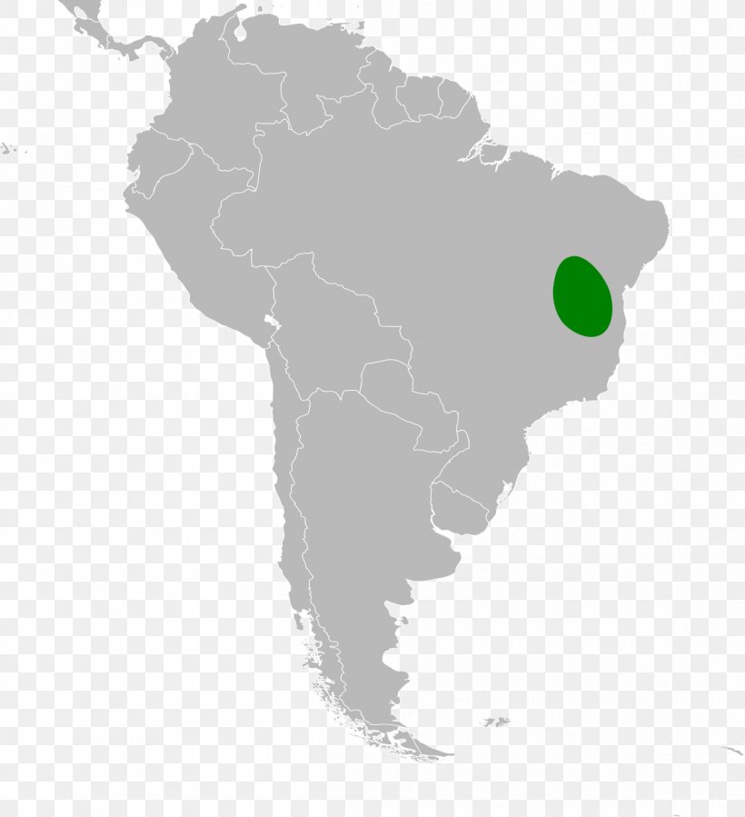 Latin America Southern Cone United States Subregion, PNG, 1200x1316px, Latin America, Americas, Country, Geography, Information Download Free