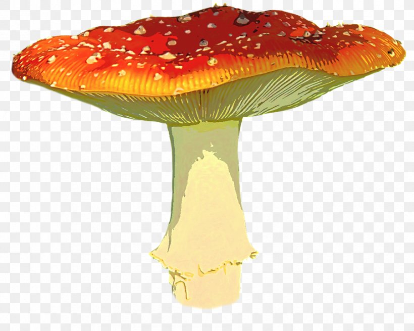 Mushroom Clip Art, PNG, 901x720px, Mushroom, Amanita, Autumn, Color, Display Resolution Download Free