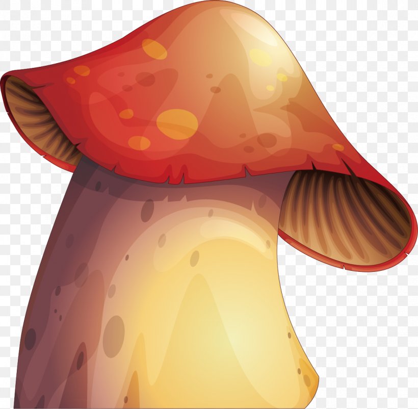 Mushroom Euclidean Vector Fungus Illustration, PNG, 1170x1145px, Mushroom, Agaricus, Amanita, Drawing, Edible Mushroom Download Free