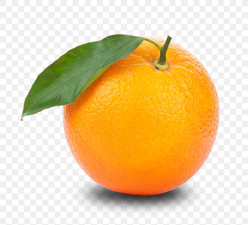 Orange Tangerine Clip Art, PNG, 744x744px, Orange Juice, Bitter Orange, Citric Acid, Citrus, Clementine Download Free
