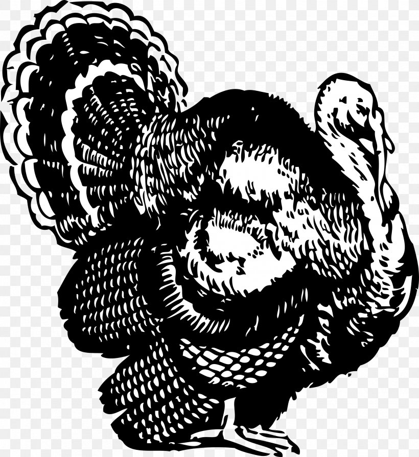 Black Turkey Black And White Thanksgiving Clip Art, PNG, 3333x3638px, Black Turkey, Art, Beak, Bird, Black And White Download Free