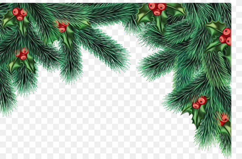 Christmas Decoration, PNG, 1024x674px, Watercolor, Branch, Christmas Decoration, Colorado Spruce, Conifer Download Free