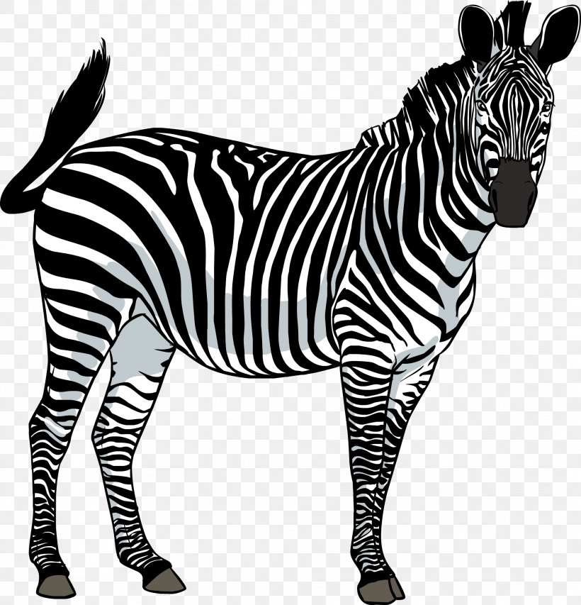 Zebra Clip Art, PNG, 2123x2210px, Zebra, Big Cats, Black And White, Horse Like Mammal, Mammal Download Free
