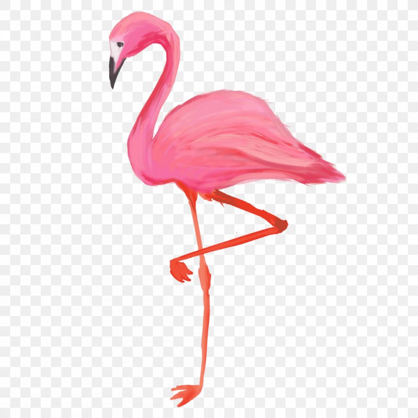 Bird Greater Flamingo American Flamingo T-shirt, PNG, 1000x1000px, Bird, American Flamingo, Andean Flamingo, Beak, Chilean Flamingo Download Free