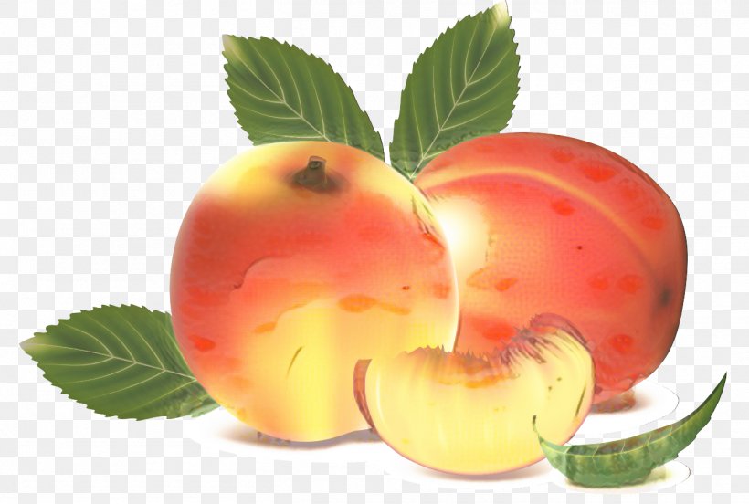 Clip Art Fruit Peach Image, PNG, 1357x914px, Fruit, Apple, Apricot, Aroma, Avocado Download Free