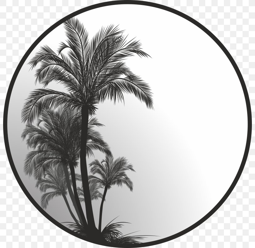 Design Illustration Image Slipmat Sticker, PNG, 800x800px, Slipmat, Black And White, Branch, Disc Jockey, Interieur Download Free