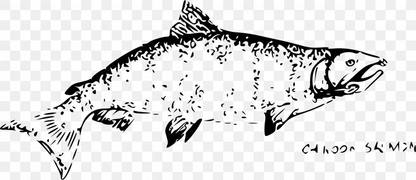 Drawing Chinook Salmon Pink Salmon Chum Salmon Black And White, PNG, 2249x978px, Drawing, Art, Big Cats, Black, Black And White Download Free