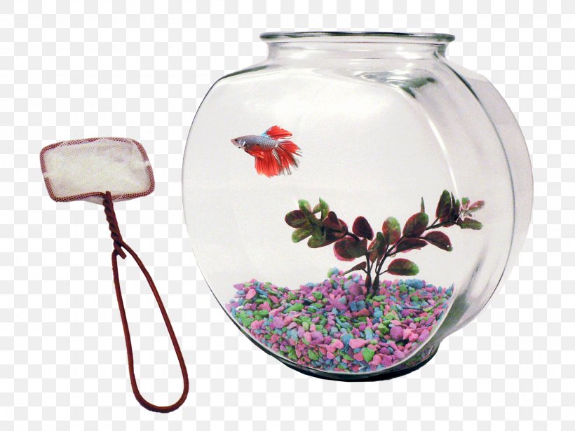 Glass Ceramic Siamese Fighting Fish Vase Tableware, PNG, 2560x1920px, Glass, Aquarium, Bowl, Ceramic, Child Download Free