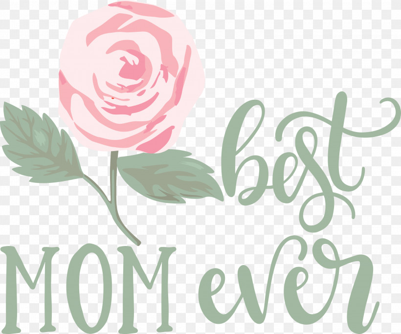 Mothers Day Best Mom Ever Mothers Day Quote, PNG, 3000x2501px, Mothers Day, Best Mom Ever, Cabbage Rose, Cut Flowers, Floral Design Download Free