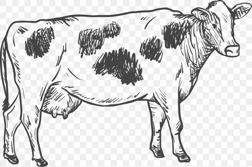 Cattle Drawing Illustration, PNG, 3600x2383px, Cattle, Amerton Farm, Black And White, Bull, Cattle Like Mammal Download Free