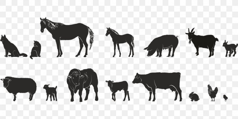 Finnish Presidential Election, 2018 Cattle Animal Agriculture Clip Art, PNG, 1280x640px, Cattle, Agriculture, Animal, Animal Husbandry, Black And White Download Free