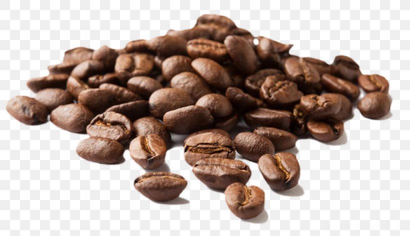 Iced Coffee Cafe Coffee Bean Moka Pot, PNG, 1024x590px, Coffee, Arabica Coffee, Bean, Cafe, Caffeine Download Free