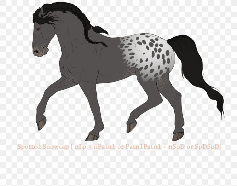 Mustang Stallion Mare Pony Arabian Horse, PNG, 1009x792px, Mustang, Animal Figure, Arabian Horse, Bridle, Colt Download Free