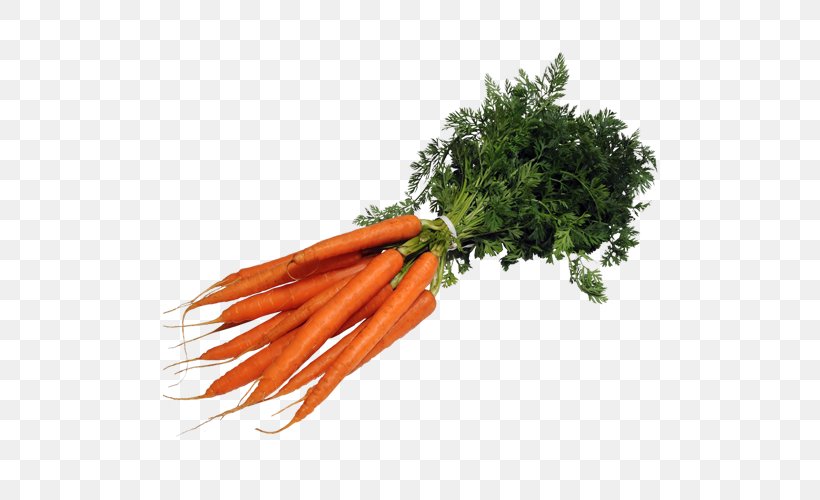 Baby Carrot Mirepoix Leaf Vegetable Superfood, PNG, 500x500px, Baby Carrot, Carrot, Food, Leaf Vegetable, Mirepoix Download Free