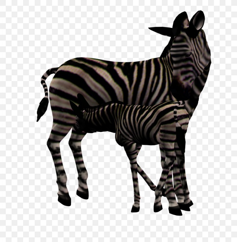 Foal Quagga Mare Zebra, PNG, 1024x1045px, Foal, Animal, Animal Figure, Art, Black And White Download Free