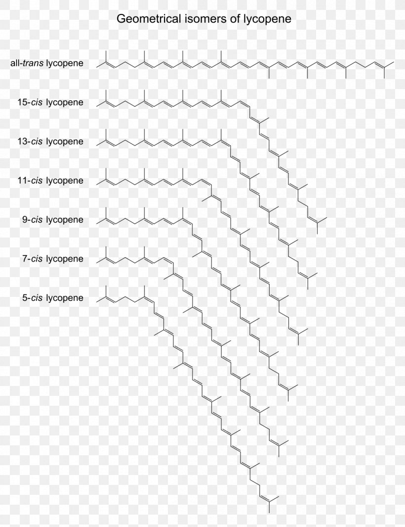 Line Point Angle White Font, PNG, 1200x1559px, Point, Animal, Area, Black And White, Diagram Download Free
