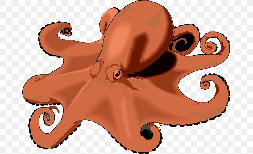 Octopus Free Content Clip Art, PNG, 675x502px, Octopus, Cartoon, Cephalopod, Copyright, Free Content Download Free