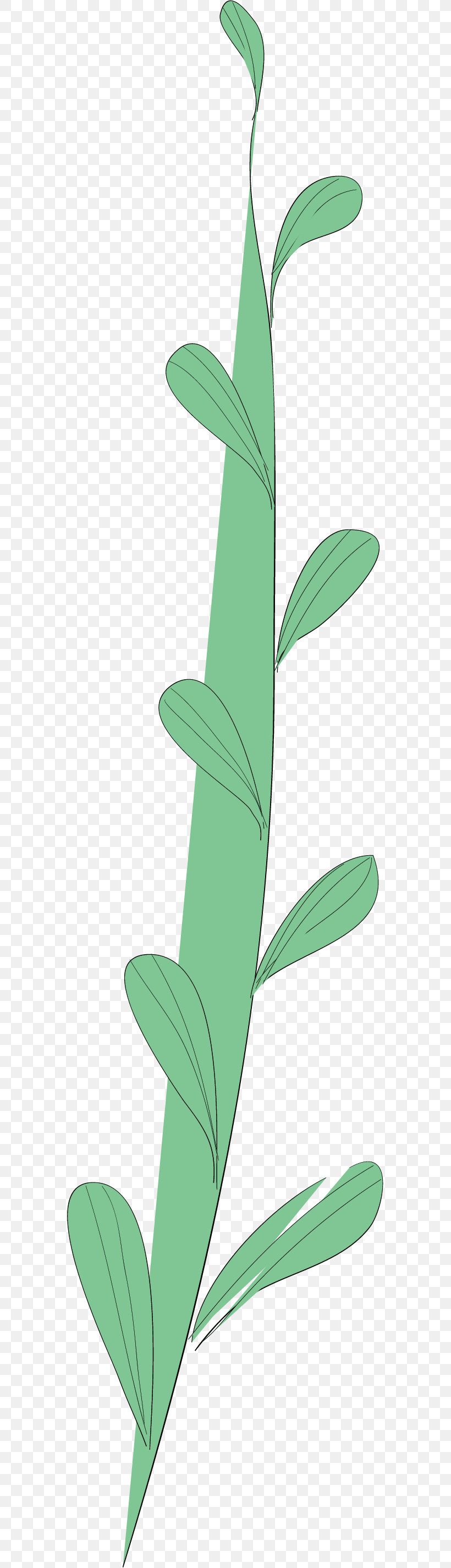 Simple Leaf Simple Leaf Drawing Simple Leaf Outline, PNG, 575x2851px, Simple Leaf, Biology, Flower, Leaf, Plant Stem Download Free