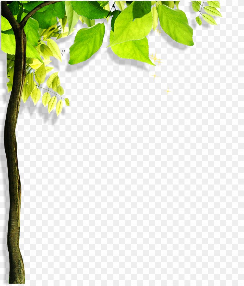 Green Leaf Angle, PNG, 1556x1824px, Green, Branch, Color, Google Images, Grass Download Free