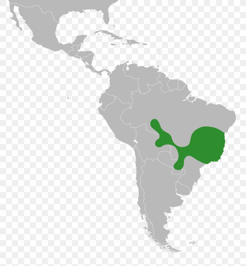 Latin America South America Caribbean Subregion United States, PNG, 1110x1200px, Latin America, Americas, Caribbean, Geography, Green Download Free