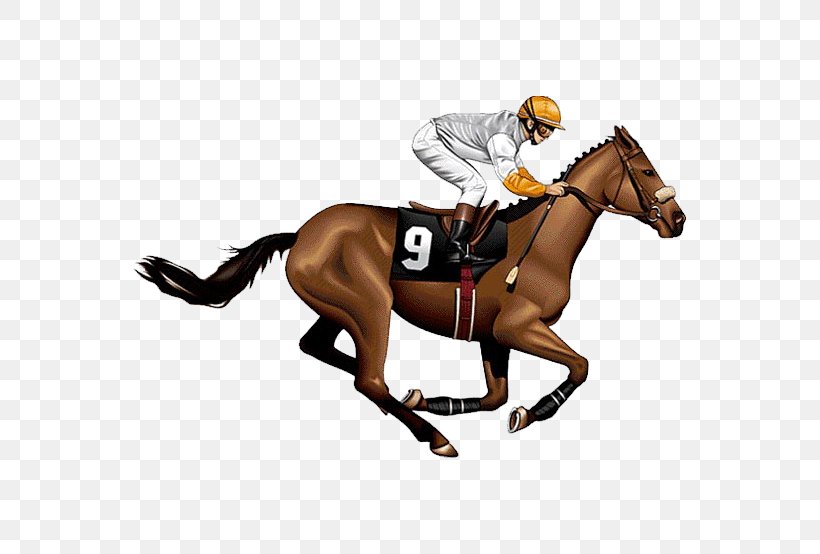 The Kentucky Derby Horse Racing Jockey Clip Art, PNG, 554x554px, Kentucky Derby, Animal Sports, Auto Racing, Bridle, English Riding Download Free