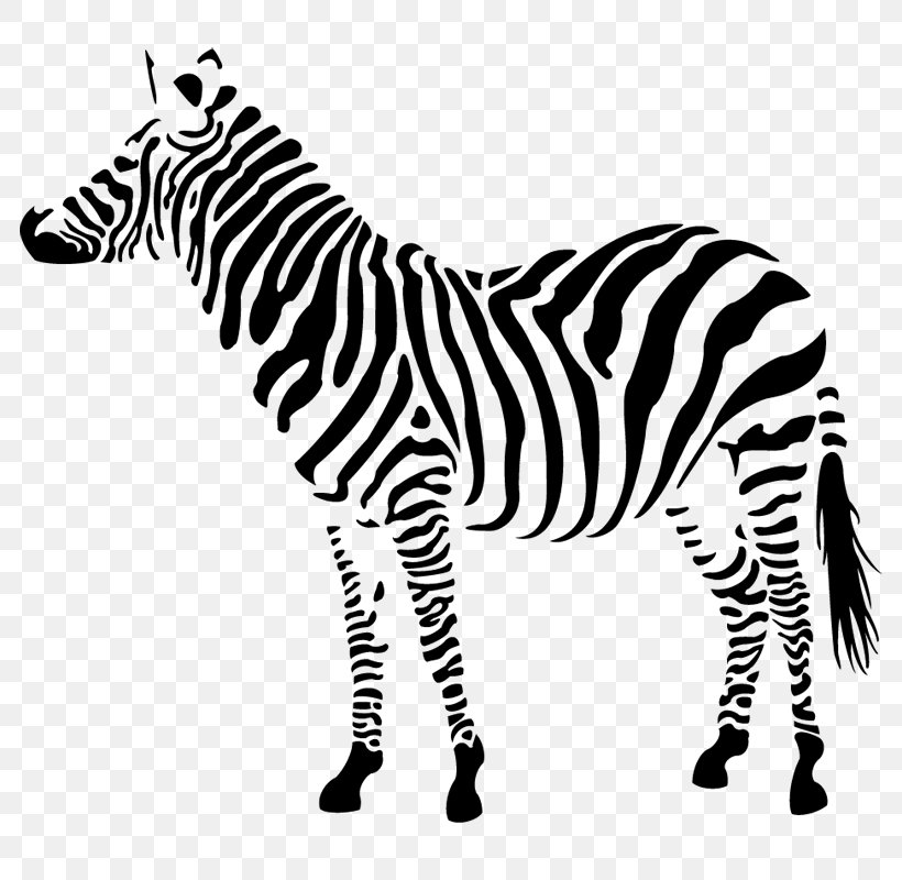 Zebra Cartoon, PNG, 800x800px, Drawing, Animal Figure, Blackandwhite, Grassland, Line Art Download Free