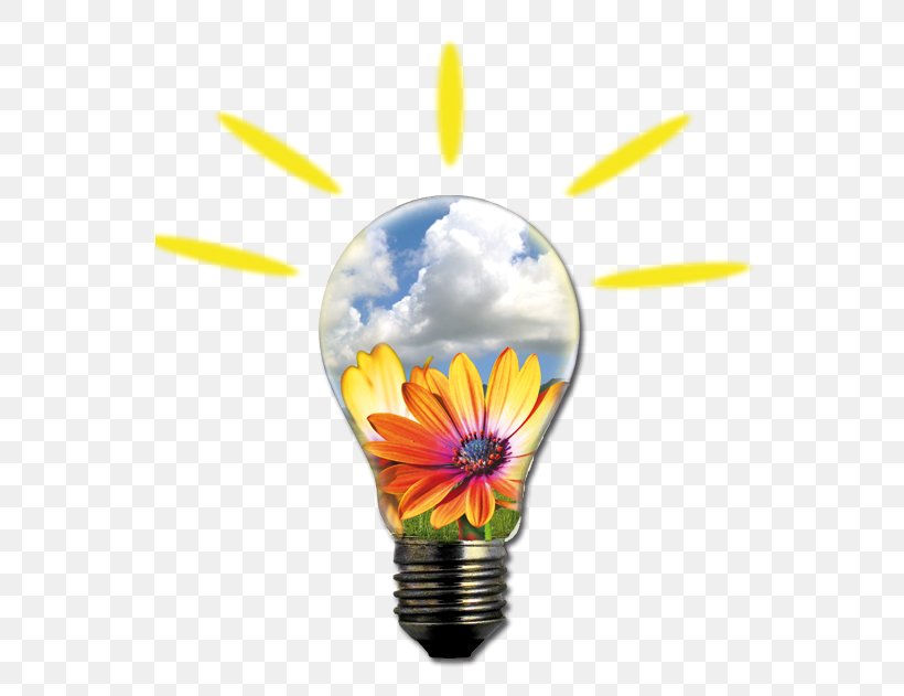 Alternative Energy Lighting Flower Gal Partenio Consorzio, PNG, 587x631px, Energy, Alternative Energy, Flower, Lighting, Yellow Download Free