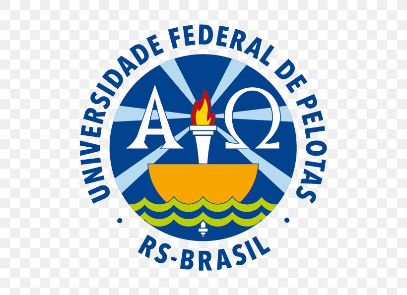 Federal University Of Pelotas Catholic University Of Pelotas Federal University Of Health Sciences Of Porto Alegre Federal University Of Rio Grande Do Norte University Of Caxias Do Sul, PNG, 595x595px, University Of Caxias Do Sul, Area, Artwork, Brand, Logo Download Free