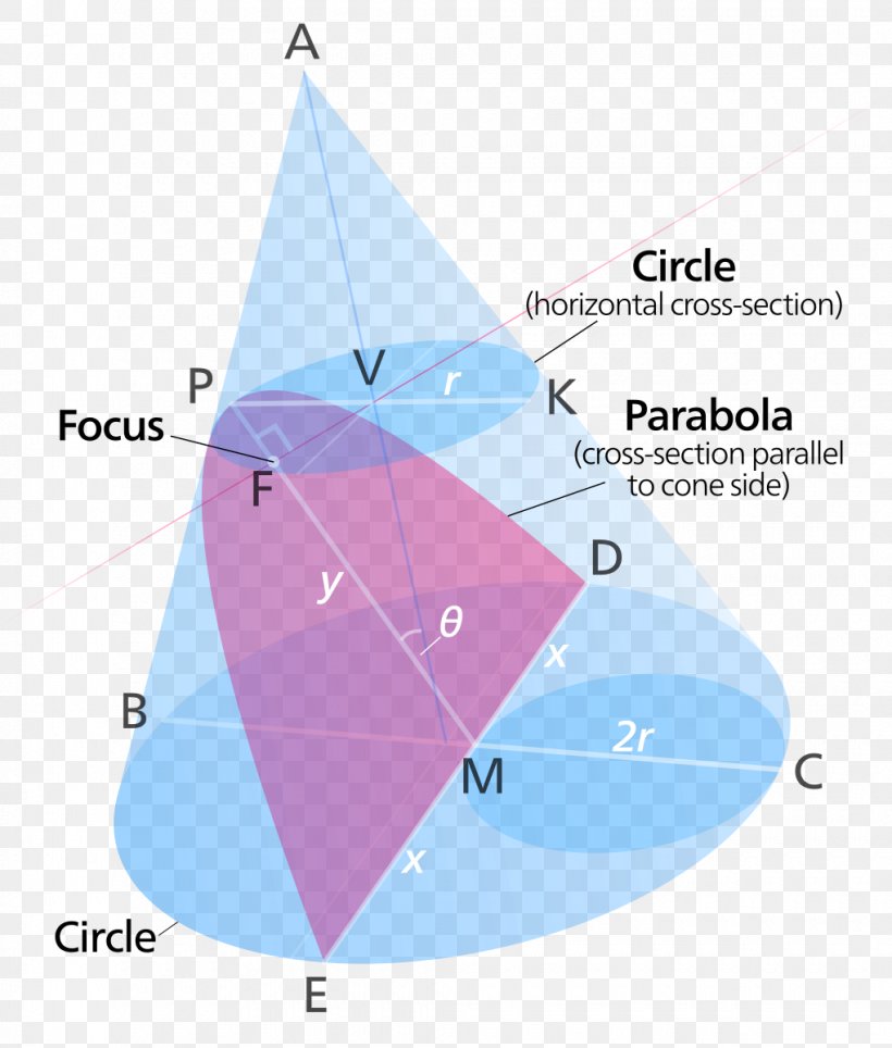 Parabola Conic Section Hyperbola Cone Focus, PNG, 1020x1200px, Parabola, Area, Cartesian Coordinate System, Cone, Conic Section Download Free