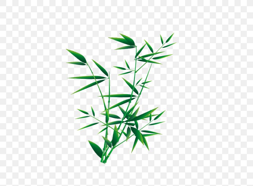 Tropical Woody Bamboos Image Design Bamboo Painting, PNG, 650x604px, Bamboo, Bamboo Painting, Grass, Grass Family, Grasses Download Free