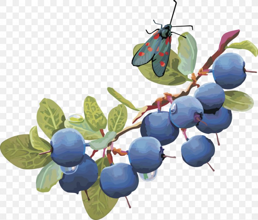 Blueberry Clip Art, PNG, 1000x856px, Berry, Bilberry, Blueberry, Branch, Damson Download Free