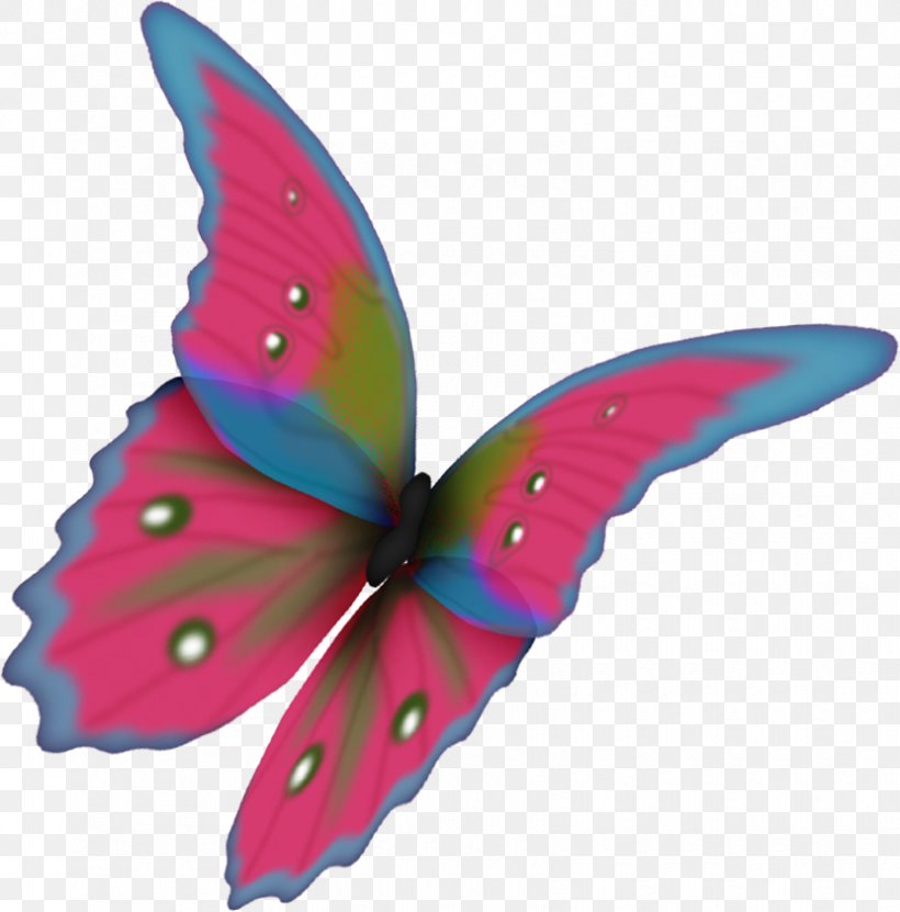 Butterfly Moth Flower Clip Art, PNG, 830x842px, Butterfly, Brush Footed Butterfly, Butterflies And Moths, Flower, Green Download Free