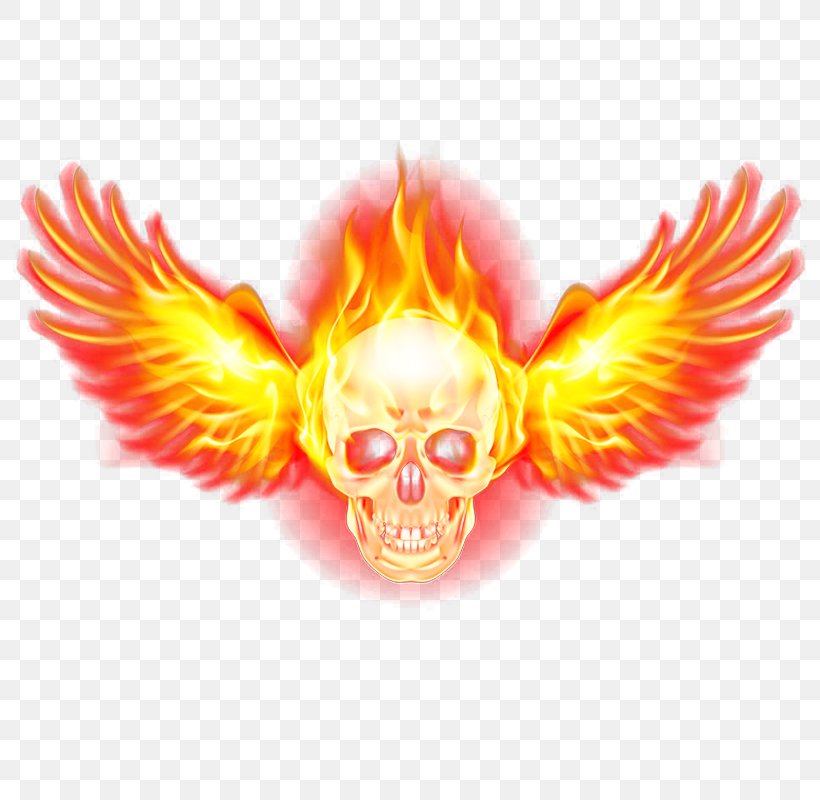 Flame Fire Wing, PNG, 800x800px, Flame, Autocad Dxf, Fire, Logo, Orange Download Free