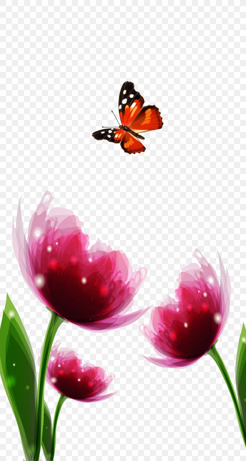 Butterfly Nymphalidae Tulip Flower, PNG, 999x1873px, Butterfly, Brush Footed Butterfly, Coreldraw, Flora, Floral Design Download Free