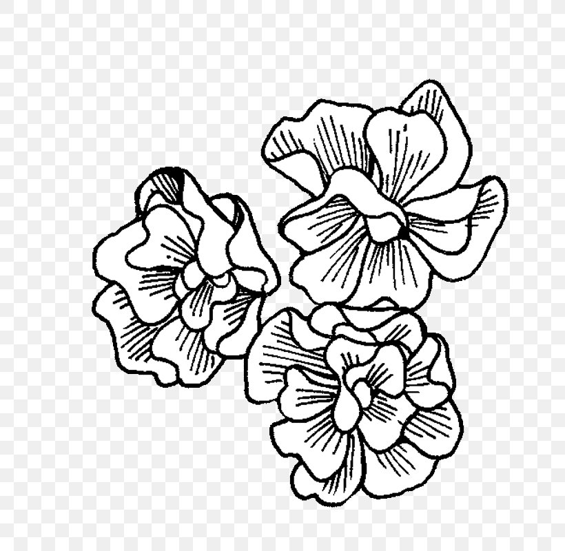 Floral Design Visual Arts Plant Petunia, PNG, 800x800px, Floral Design, Area, Art, Artwork, Black And White Download Free