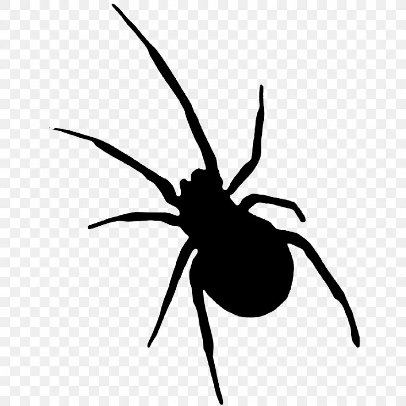 Halloween Clip Art, PNG, 894x894px, Halloween, Arachnid, Arthropod, Black And White, Black Widow Download Free