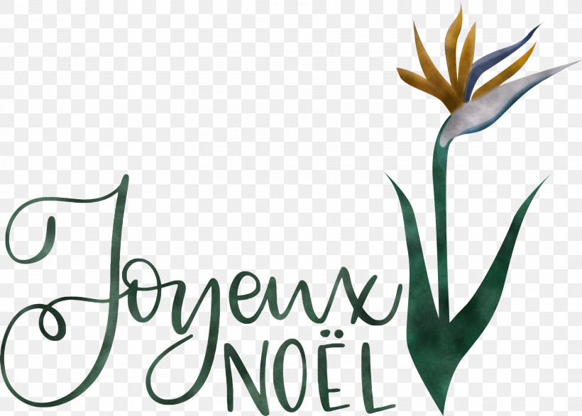 Noel Nativity Xmas, PNG, 3000x2150px, Noel, Autumn, Christmas, Clothing, Cut Flowers Download Free