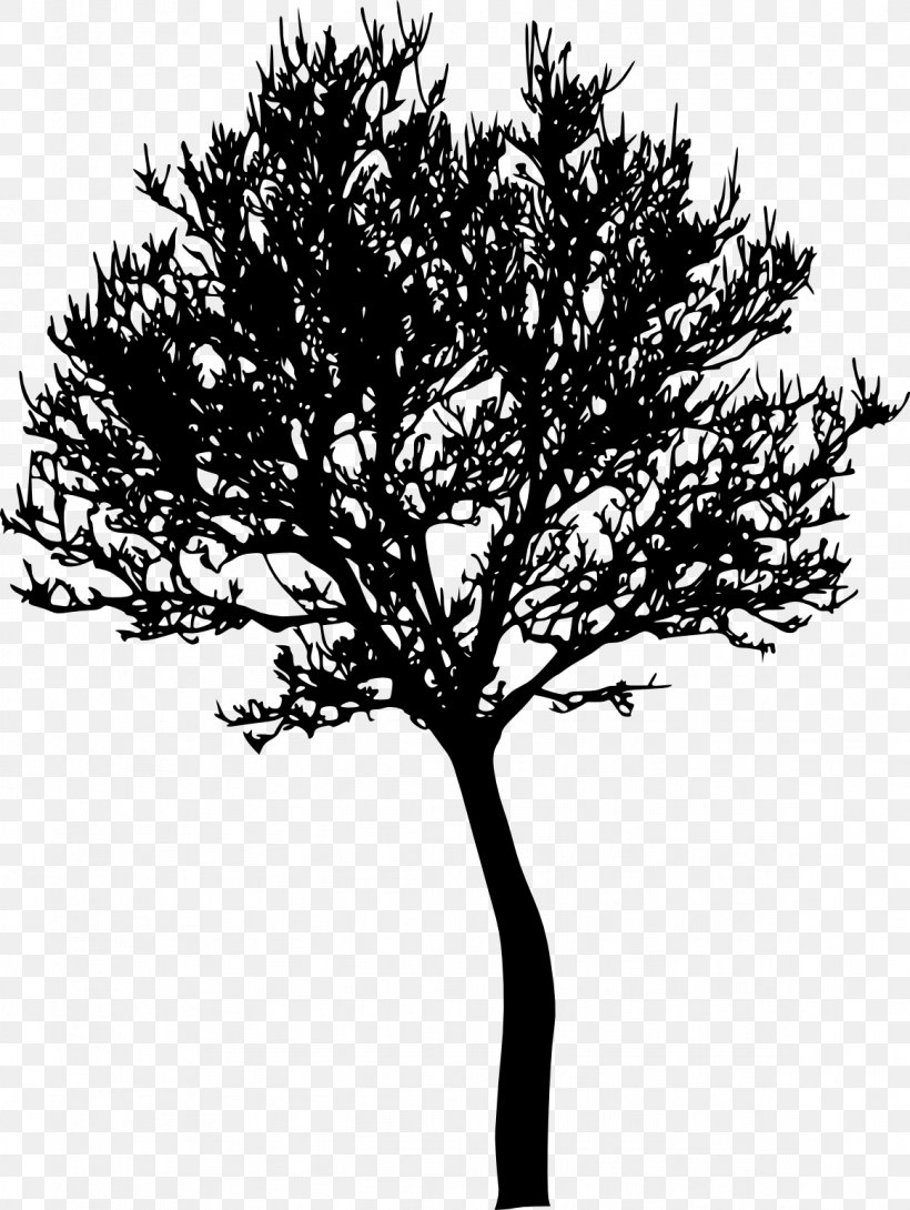 Tree Photography Silhouette, PNG, 1163x1547px, Tree, Black And White, Branch, Drawing, Leaf Download Free