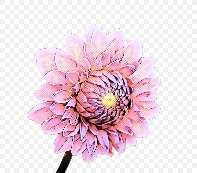 Flowers Background, PNG, 648x720px, Dahlia, Artificial Flower, Blossom, Chrysanthemum, Cut Flowers Download Free