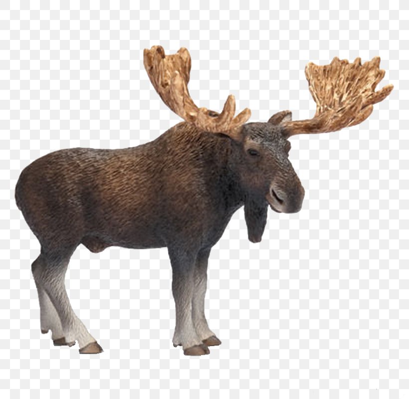 Moose Amazon.com Toy Schleich Deer, PNG, 800x800px, Moose, Action Toy Figures, Amazoncom, Antler, Child Download Free