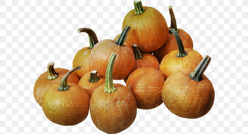 Pumpkin Gourd Winter Squash Calabaza, PNG, 600x444px, Pumpkin, Blog, Calabaza, Cucumber Gourd And Melon Family, Cucurbita Download Free