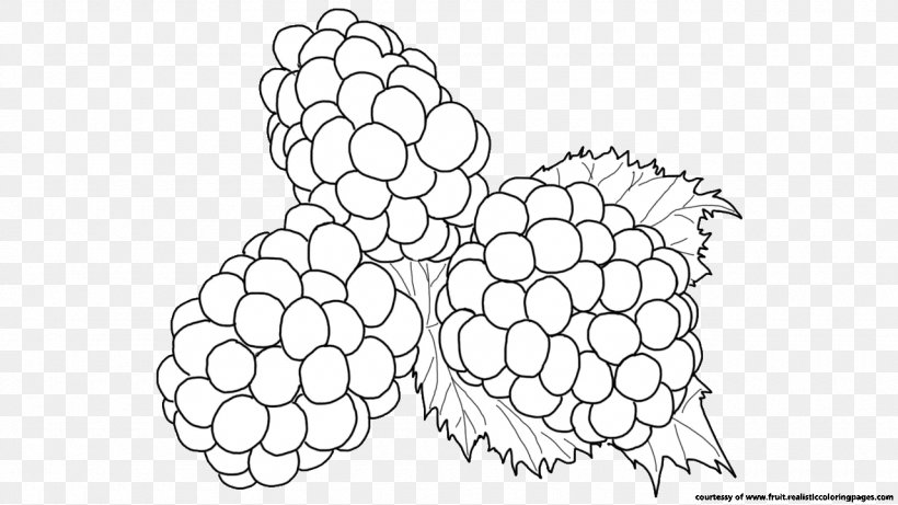 BlackBerry Line Art Coloring Book Clip Art, PNG, 1280x720px, Blackberry, Area, Black And White, Color, Coloring Book Download Free