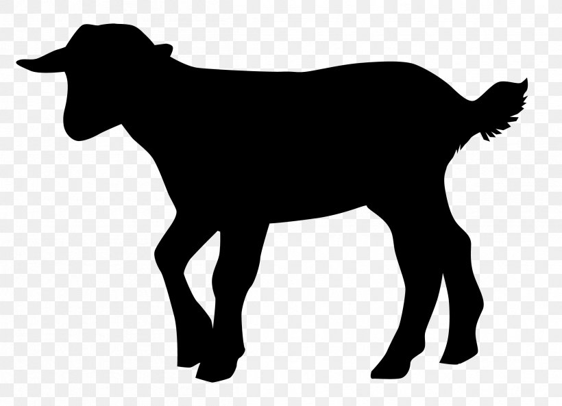 Cattle Sheep Goat Intensive Animal Farming L214, PNG, 2411x1745px, Cattle, Animal, Animal Husbandry, Black, Black And White Download Free