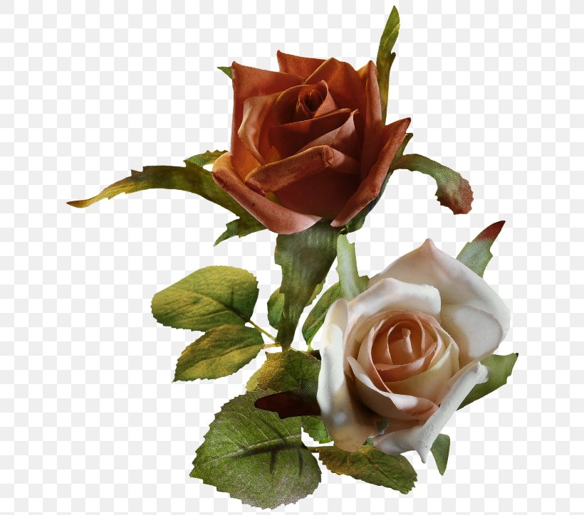 Garden Roses Centifolia Roses Clip Art, PNG, 650x724px, Garden Roses, Centifolia Roses, Cut Flowers, Floral Design, Floristry Download Free
