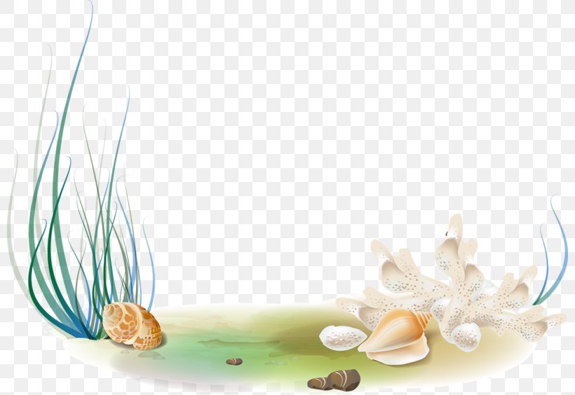 Preview Clip Art, PNG, 800x564px, Preview, Alternative Medicine, Fish, Fundal, Grass Download Free