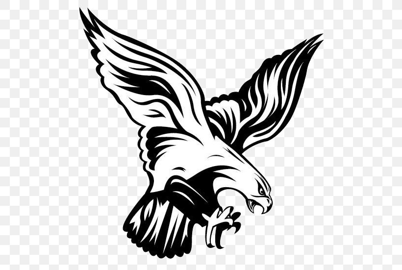 Atlanta Falcons Flambeau Junior High School Philadelphia Eagles Flambeau High School Chippewa Falls, PNG, 546x551px, Atlanta Falcons, Art, Basketball, Beak, Bird Download Free