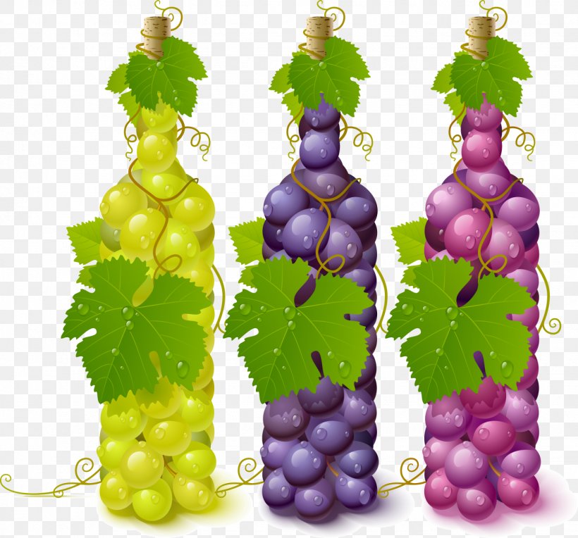 Common Grape Vine Wine Grape Leaves, PNG, 1335x1244px, Common Grape Vine, Bottle, Flowering Plant, Food, Fruit Download Free