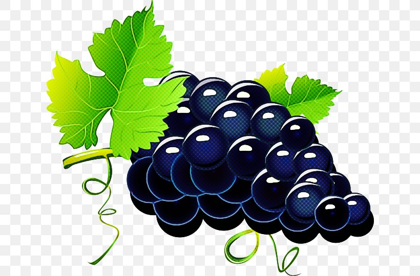 Grape Grape Leaves Berry Fruit Seedless Fruit, PNG, 640x540px, Grape, Berry, Currant, Fruit, Grape Leaves Download Free