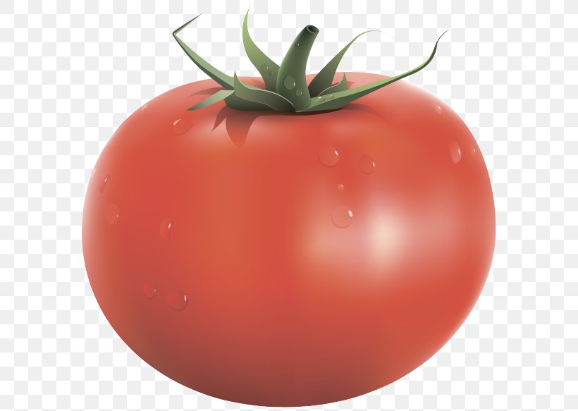 Vegetable Cherry Tomato Blue Tomato Clip Art, PNG, 600x583px, Vegetable, Blue Tomato, Bush Tomato, Cherry Tomato, Diet Food Download Free